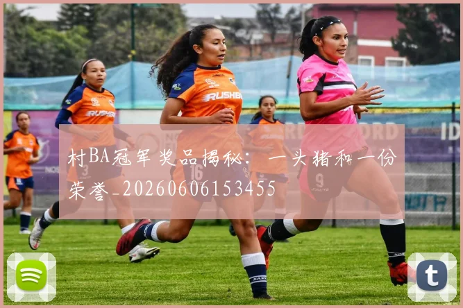 村BA冠军奖品揭秘:一头猪和一份荣誉_20260606153455