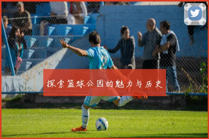探索篮球公园的魅力与历史
