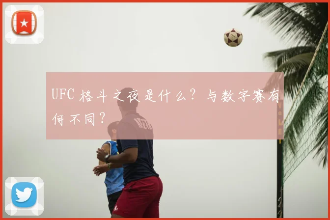 UFC 格斗之夜是什么？与数字赛有何不同？