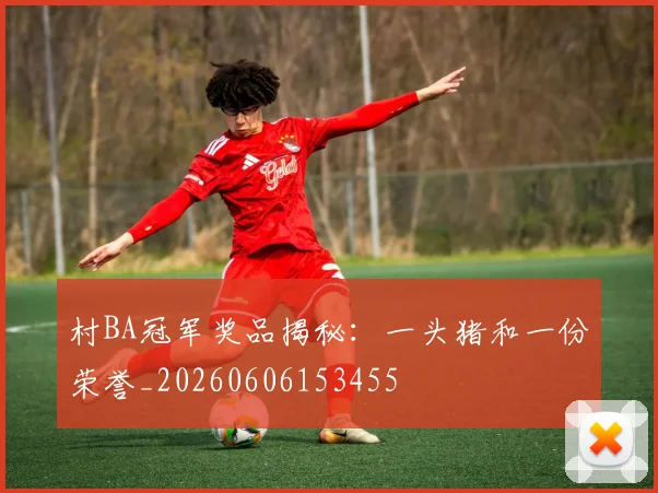 村BA冠军奖品揭秘：一头猪和一份荣誉_20260606153455